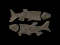 fish.gif (885 bytes)